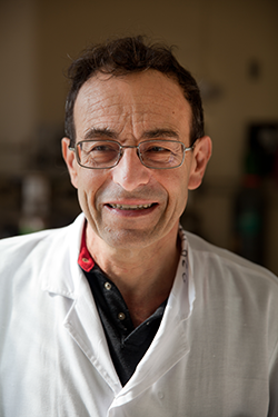 Prof. David Cahen