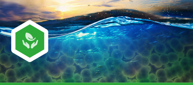 Sea Change, Climate Change