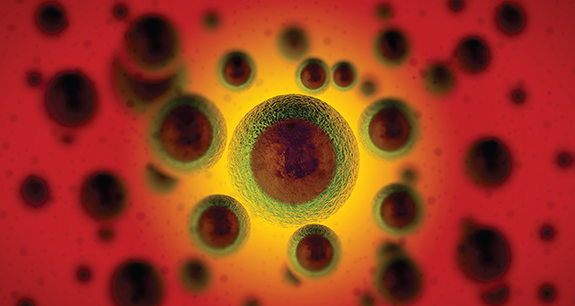 Harnessing the Power of Stem Cells Harnessing the Power of Stem Cells