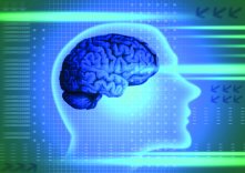 Science on the Brain