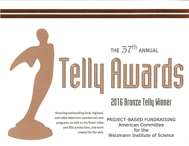 Bronze Telly Award 2016 Bronze Telly Award 2016