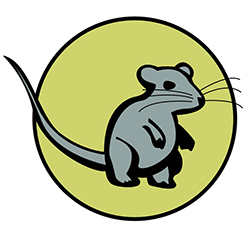 mouse whiskers mouse whiskers