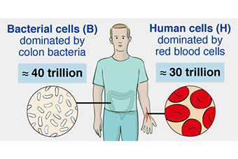 Germs, Humans, and Numbers