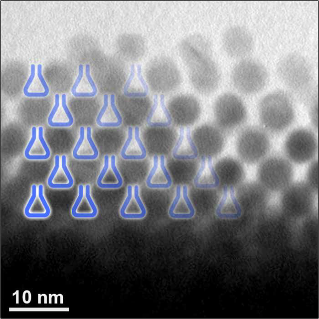 gold nanoparticles