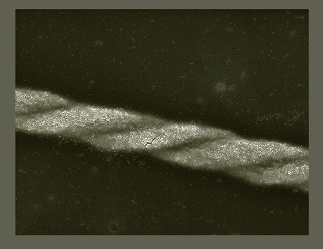 Nanocubes Get in a Twist Nanocubes Get in a Twist