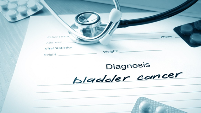 bladder cancer bladder cancer