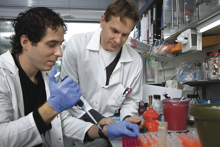 Weizmann scientists in the lab