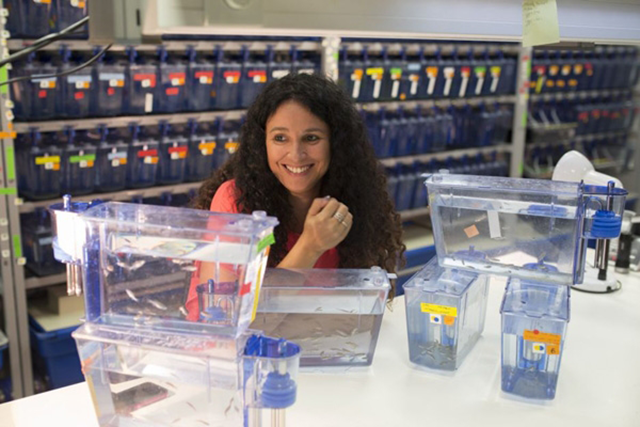 Dr. Karina Yaniv Dr. Karina Yaniv