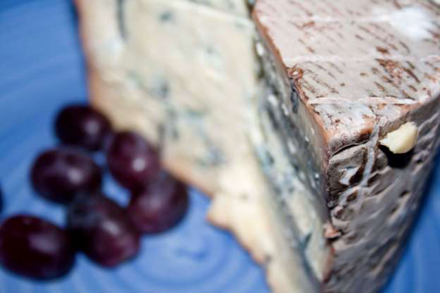 blue cheese helps repair circadian clocks