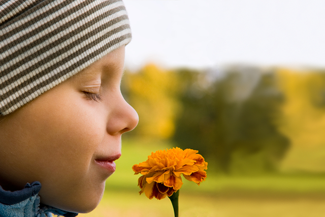 Reaction to Smells May Help Diagnose Autism Reaction to Smells May Help Diagnose Autism