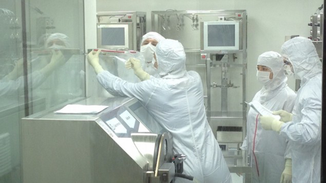 Pluristem workers Pluristem workers