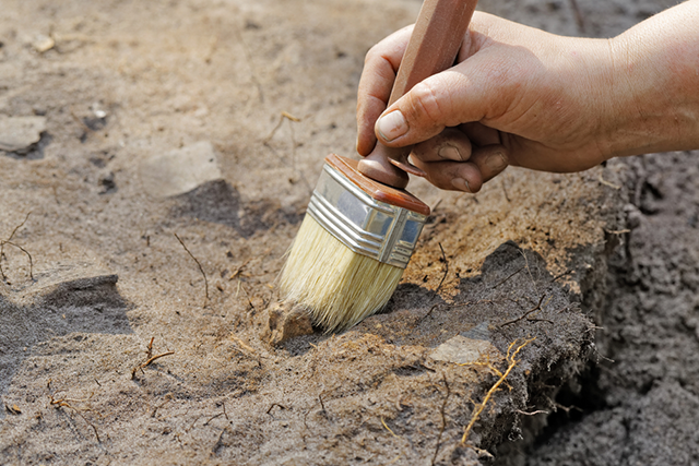 Archaeology Archaeology