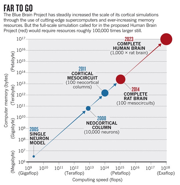 SOURCE: BBP/EPFL