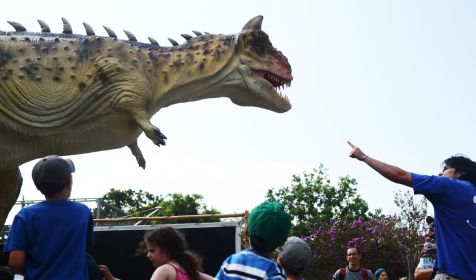 Dinosaurs Exhibit Weizmann Institute