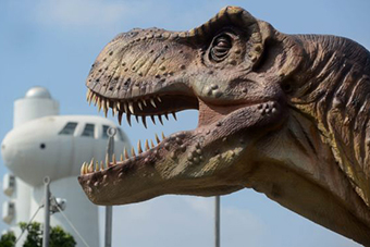Dinosaurs May Be Extinct, But They Look Extremely Lifelike in Rehovot