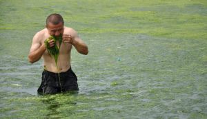 Marine Green Slime to Save the Planet