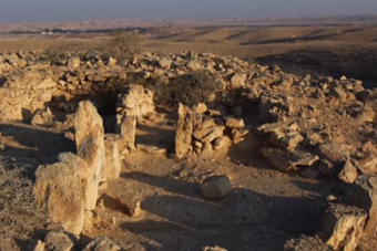 Fossil Dung Study Indicates: Ancients in Negev had Advanced Economy