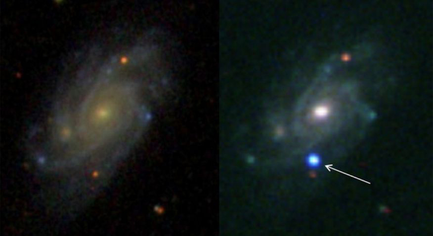 Supernova Galaxy