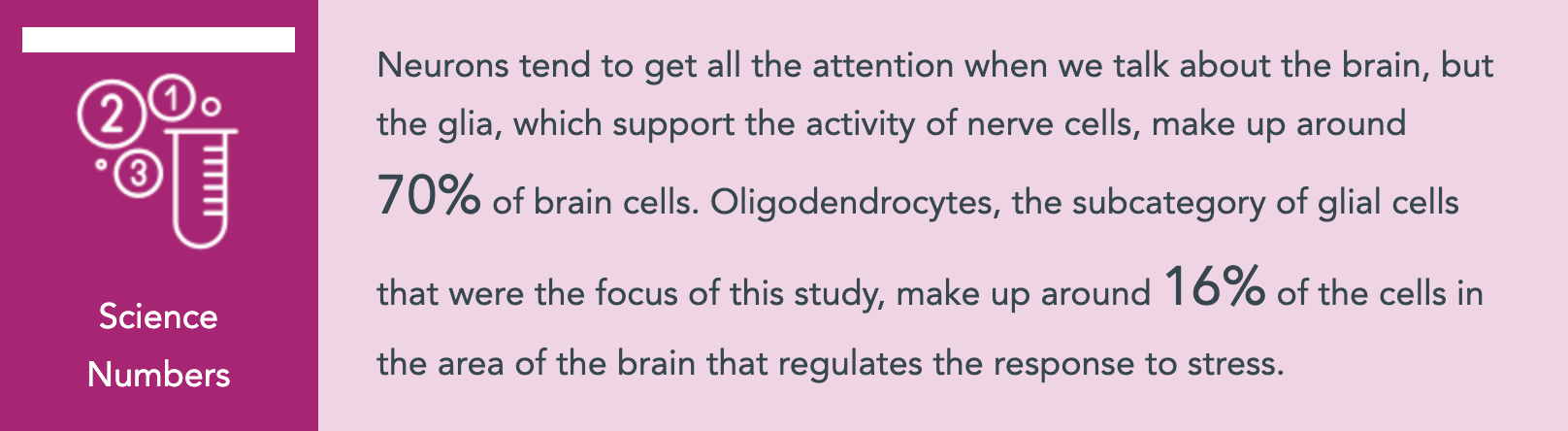 Brain Cells Of Males And Females Respond Differently To Chronic Stress 4