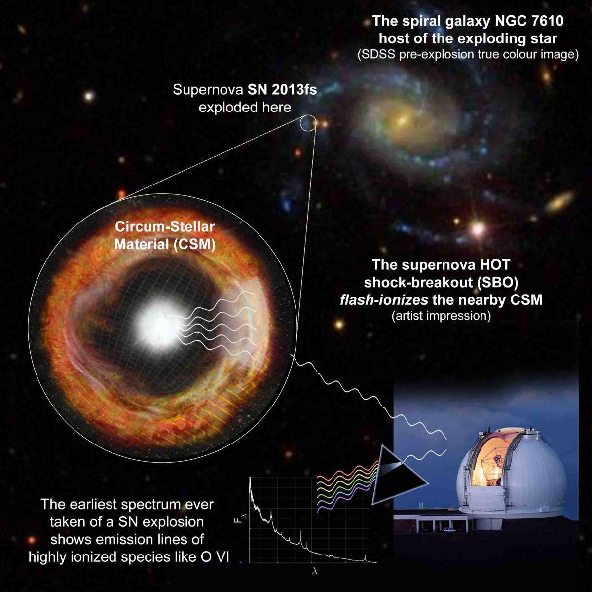 Explosive Material: The Making of a Supernova