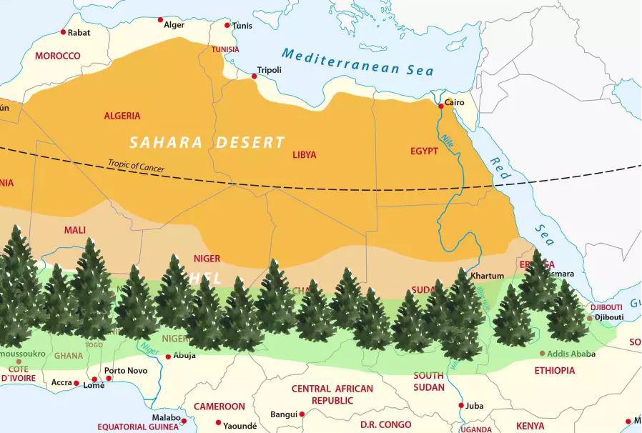 Weizmann Institute Research: Large Semi-Arid Forests Could Cool the Planet