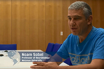 Spotlight on Basic Research: Professor Noam Sobel 