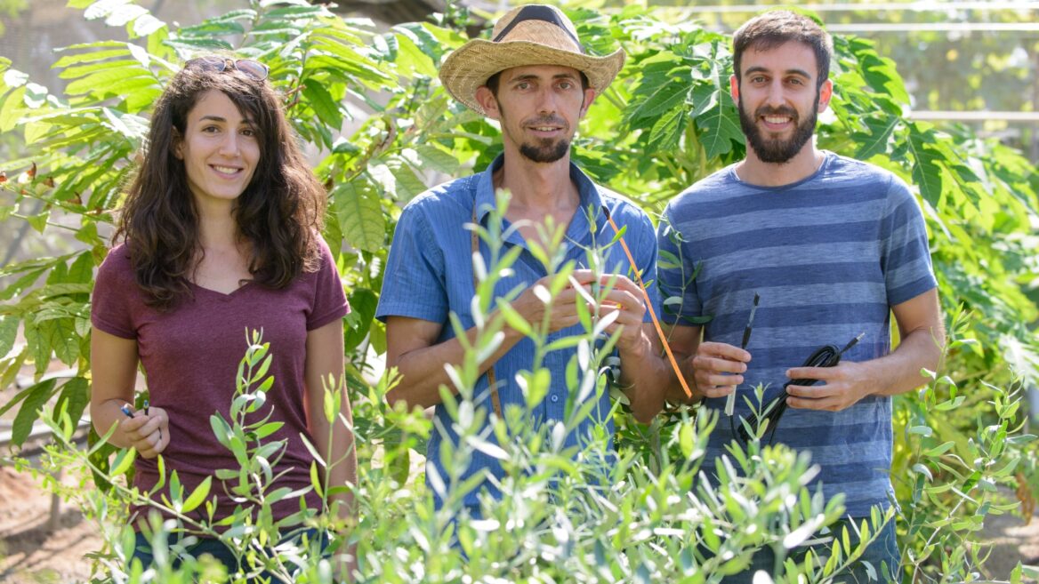 Why the Future of Agriculture Lies in Israel’s Desert