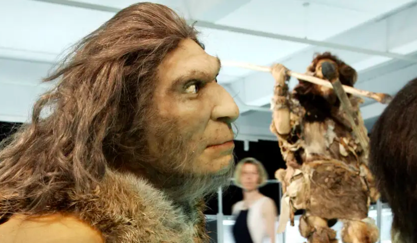 Did Modern Humans and Neanderthals Really Meet in Israel's South ...