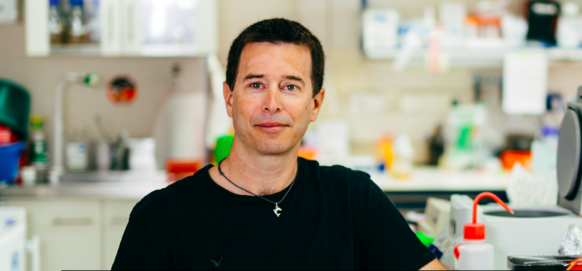 Rotem Sorek Searches for Bacteria’s Defenses Against Viruses