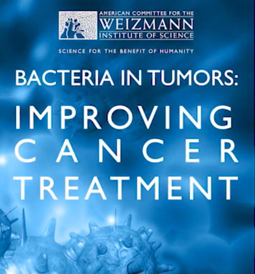 Bacteria in Tumors: Improving Cancer Treatment