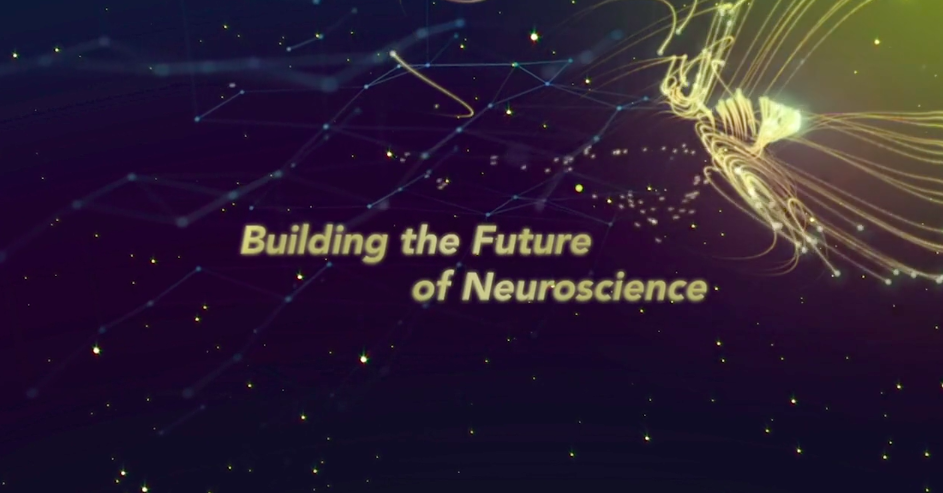 72nd Annual Meeting of the International Board: Building the Future of Neuroscience