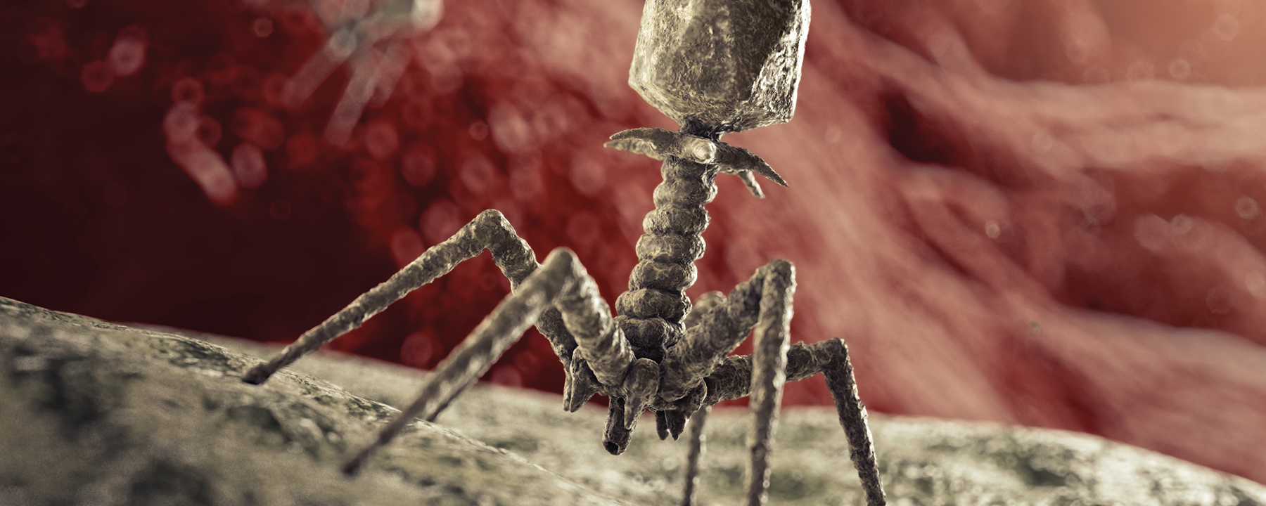 Phage From The Scientist