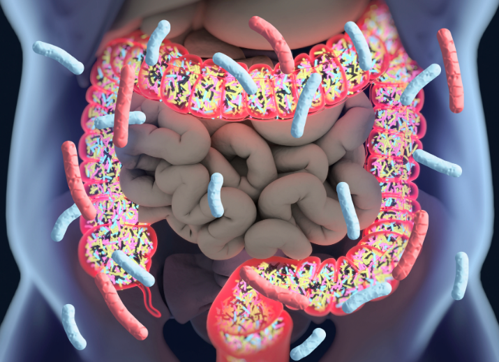 Impaired Microbiota May Lead to Spondylarthritis