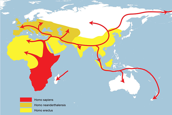 Migration Map Wiki