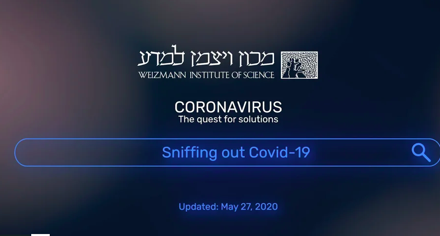 Coronavirus: The Quest for Solutions – Sniffing Out Covid-19