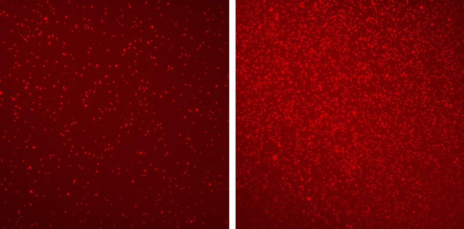 Putting Liquid Biopsies On Solid Ground 2