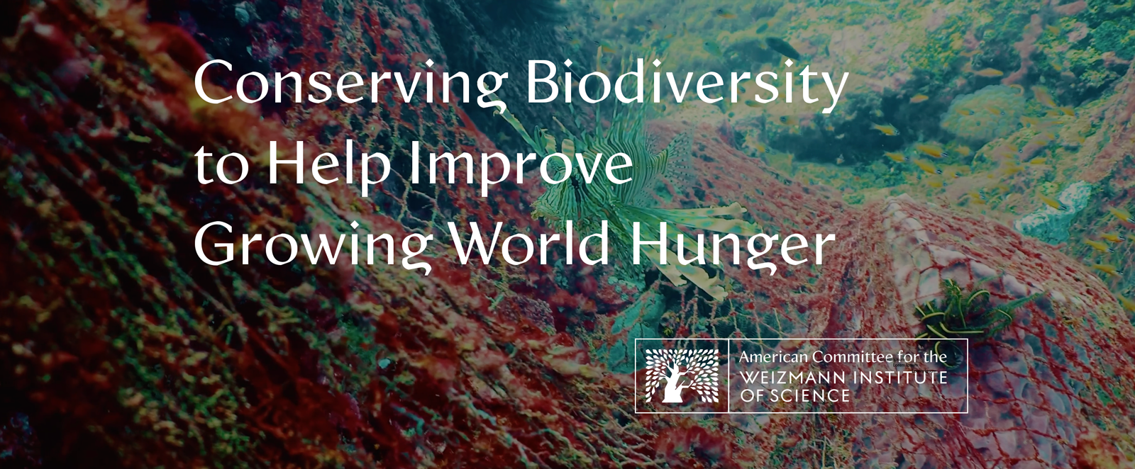 Conserving Biodiversity to Help Improve Growing World Hunger
