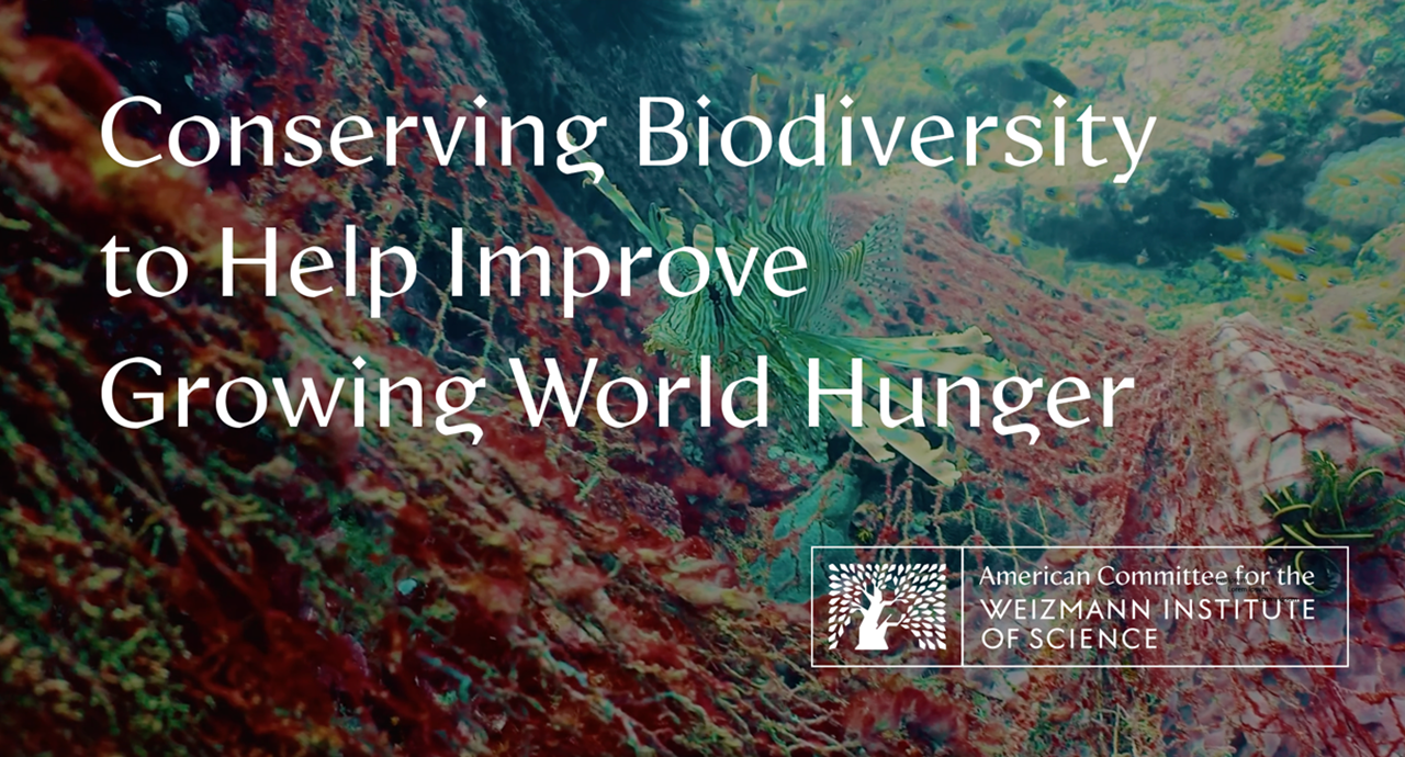 Conserving Biodiversity To Help Improve Growing World Hunger (1)