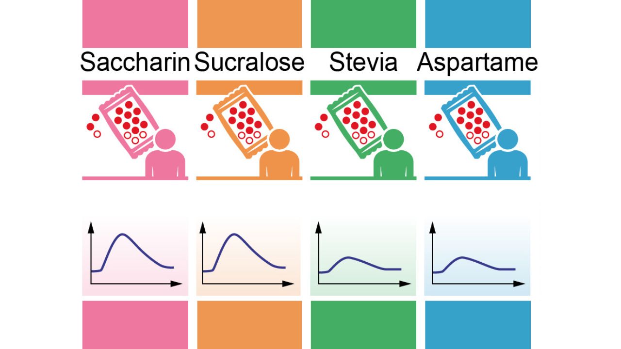 Sweetness That Comes at a Price: Sugar Substitutes May Affect the Human Body in Unanticipated Ways 
