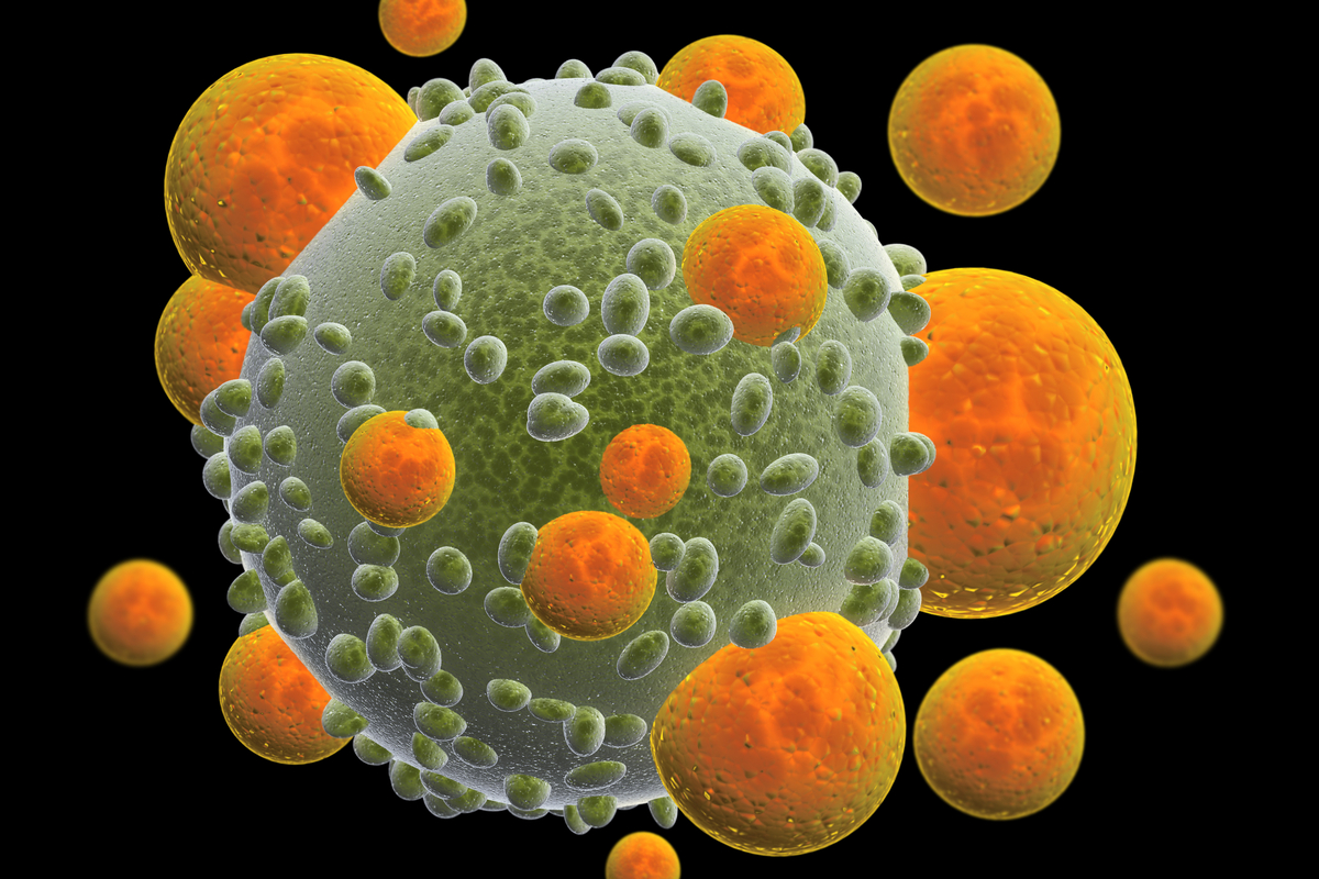Shutterstock 1191127225 Cancer T Cells