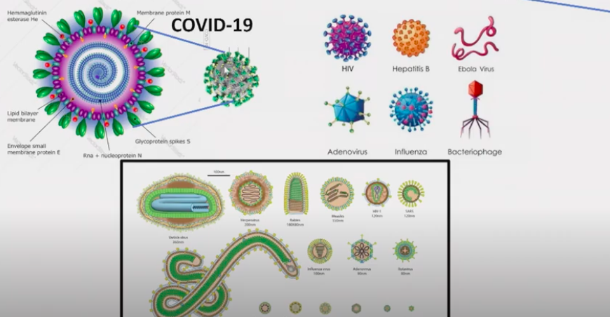 The Science of COVID-19 – Prof. Ada Yonath; U.N. Science, Technology, and Innovation Conference