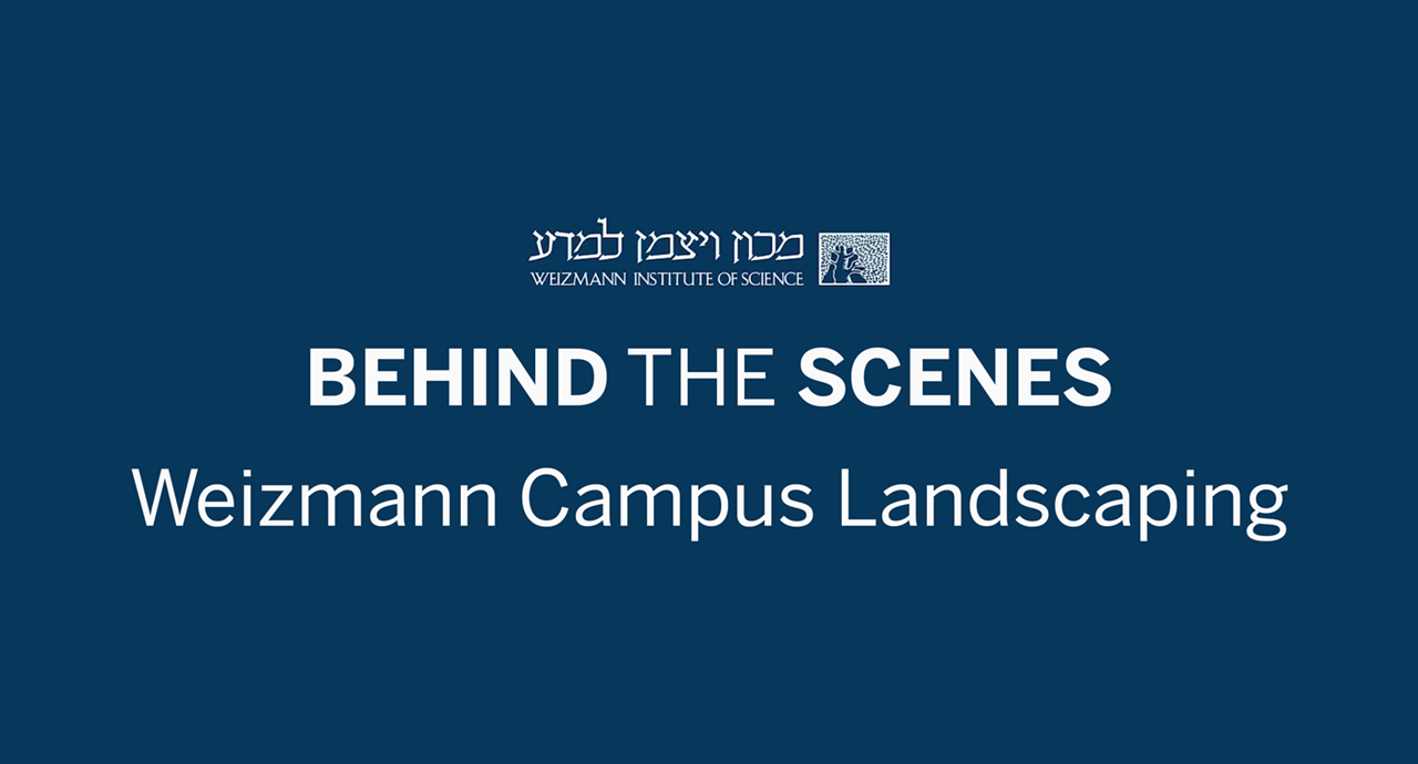 BTS Weizmann Campus Landscaping