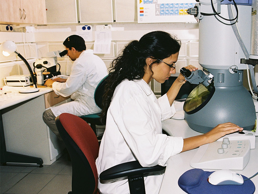 Israeli Post-doctoral Fellows