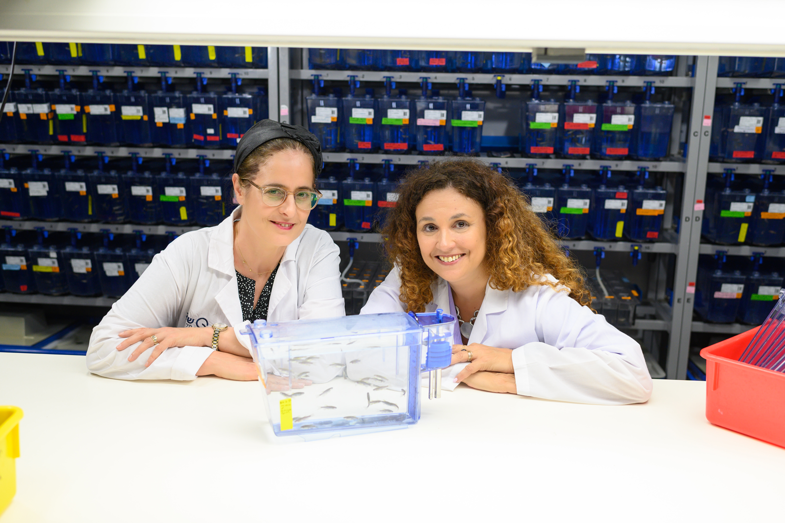 Fishing For A Drug Study Brings Hope For Treating A Rare Disease 1